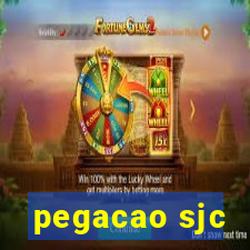 pegacao sjc